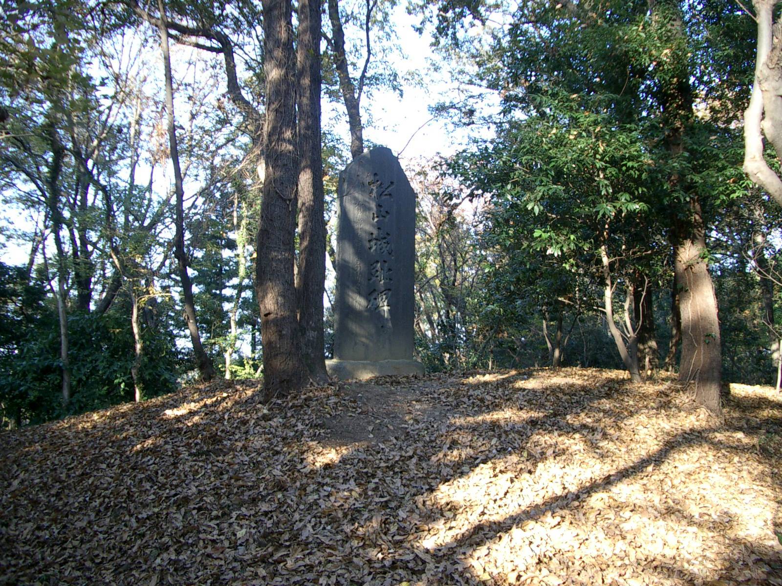 本丸物見櫓跡に建つ松山城址碑
